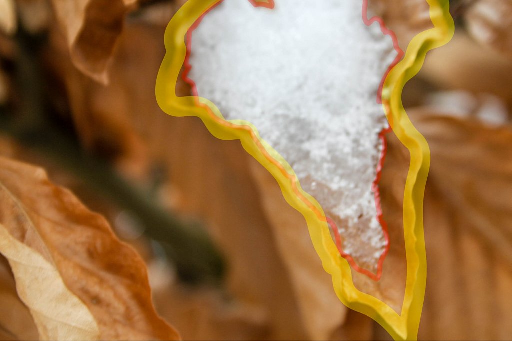 Leaf and snow with annotation